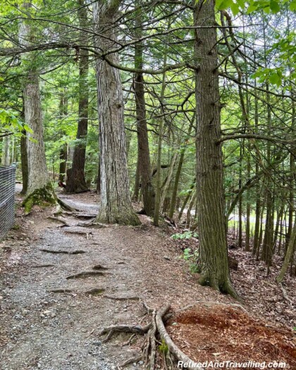Taughannock Falls North Rim Trail.jpg