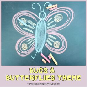 Toddler and Preschool Bugs and Butterflies Theme Resources