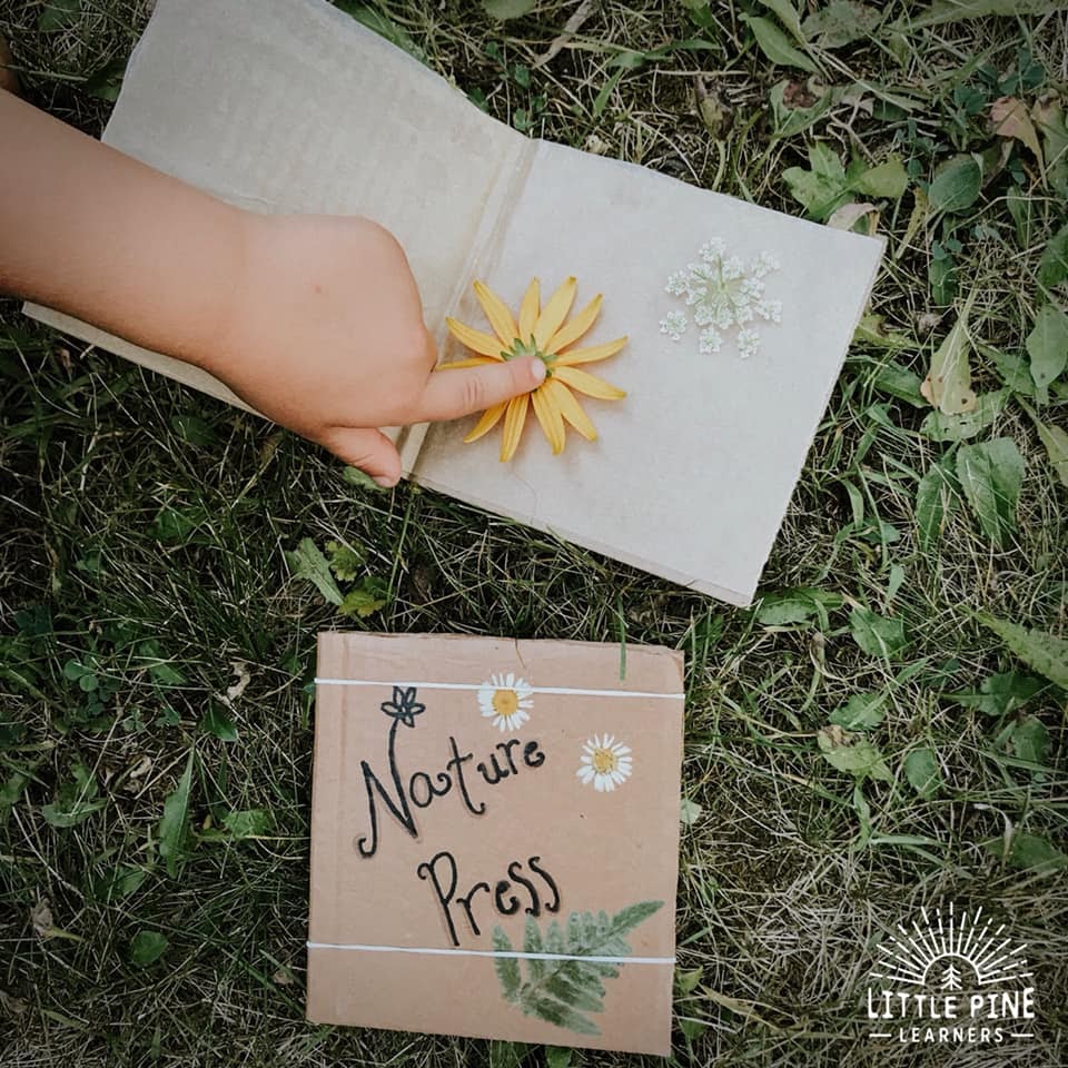 DIY Nature Press