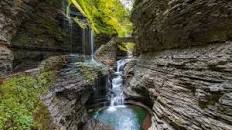 Image result for nature play in the finger lakes