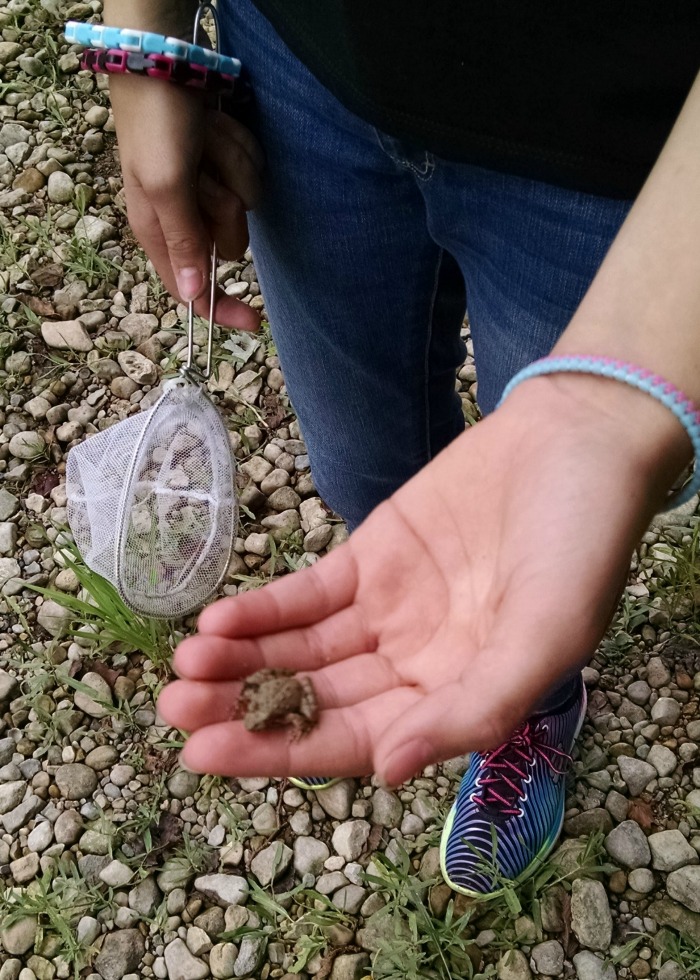 Princess frog on hand from rivers edge