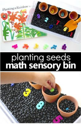 Counting Seeds Gardening Sensory Bin-Pretend play and math activity for toddlers and preschoolers #spring #preschool #math #kidsactivities