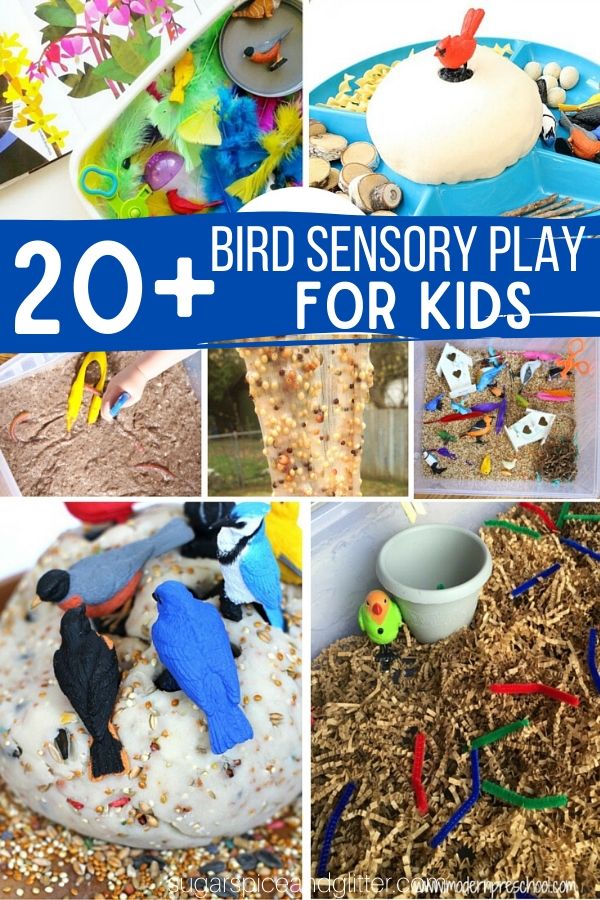 Over 20 Bird-inspired Sensory Play Ideas, plus fun ideas to bring the bird theme into math, science and art
