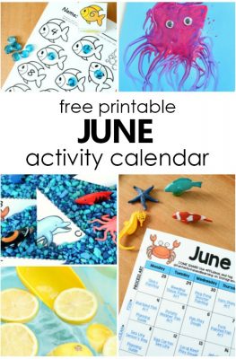 Free Printable June Activity Calendar for Kids. June Preschool Activities and Preschool Summer Themes #preschool #freeprintable #freebie #summerwithkids #summeractivities