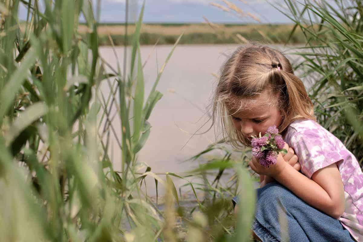 Exploring Ponds with kids
