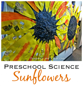 preschool science