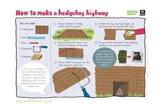 Hedgehog highway