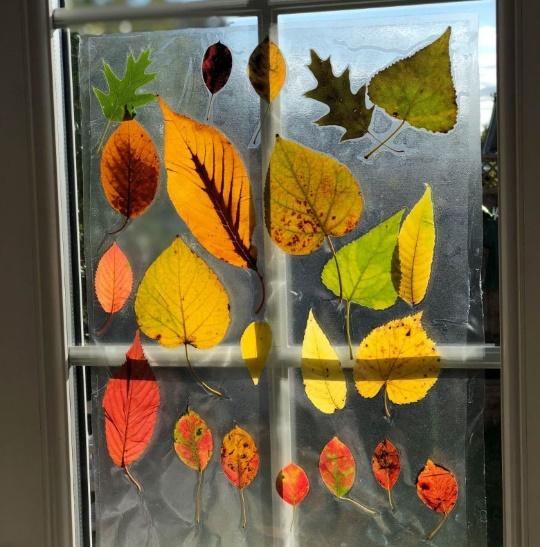 autumn suncatcher using leaves