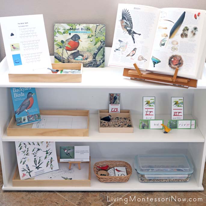 Montessori Shelves with Backyard Bird Themed Activities