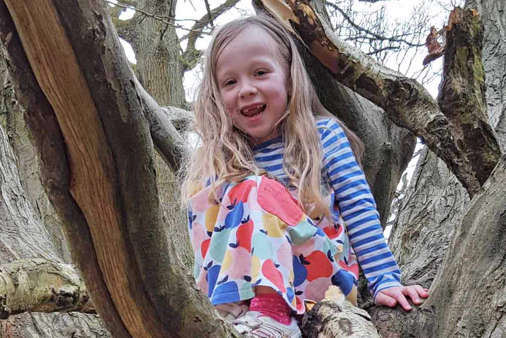 Fun Outdoor Activities For Kids - Climbing Trees