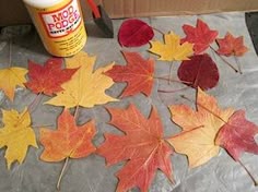 This may contain: the leaves have been placed next to a bottle of glue