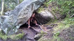 A person sitting in a large tree
Description automatically generated with low confidence