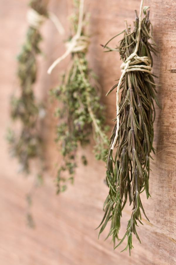 freshly dried herbs hanging on jute cord