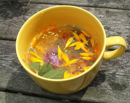 A cup of tea

Description automatically generated with low confidence
