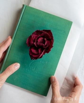 Pressing flowers in a book showing dried rose on top
