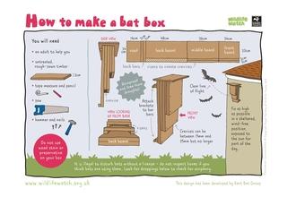 Build a bat box