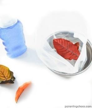 Fall Leaves Squish Bags for Kids