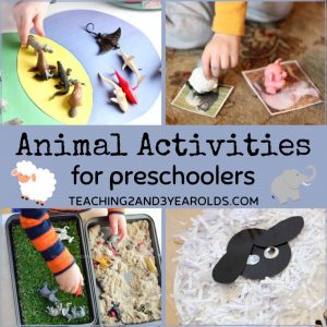 Fun Animal Activities for Preschoolers