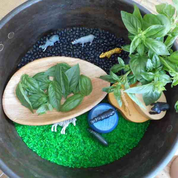 eyfs - toddler - preschool - pre-k - sensory play- messy play - rice play - small world - playscape - playscene - learning through play - play matters,eyfs - toddler - preschool - pre-k - sensory play- messy play - rice play - small world - playscape - playscene - learning through play - play matters,eyfs - toddler - preschool - pre-k - sensory play- messy play - rice play - small world - playscape - playscene - learning through play - play matters