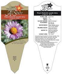 plant care tag
