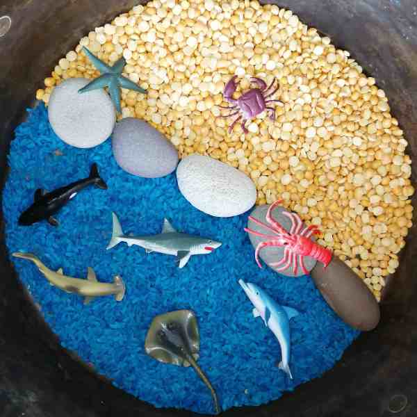 playscapes - play scenes - play - small world - small world play - messy play - sensory play - toddler - preschooler - kids activities,eyfs - toddler - preschool - pre-k - sensory play- messy play - rice play - small world - playscape - playscene - learning through play - play matters,eyfs - toddler - preschool - pre-k - sensory play- messy play - rice play - small world - playscape - playscene - learning through play - play matters,eyfs - toddler - preschool - pre-k - sensory play- messy play - rice play - small world - playscape - playscene - learning through play - play matters,eyfs - toddler - preschool - pre-k - sensory play- messy play - rice play - small world - playscape - playscene - learning through play - play matters,eyfs - toddler - preschool - pre-k - sensory play- messy play - rice play - small world - playscape - playscene - learning through play - play matters,Fun 5 for Friday. Finger Gym. Fine motor activities. Fine motor skills. Language skills. Social play. Small world. Suitcase play. Stacking. Containing. Sorting. Enclosing. Schema. Natural. Wooden toys. Grimms. Fabric. Puppets. Gems. Stones. Books. Stories. Reading.,playscapes - play scenes - play - small world - small world play - messy play - sensory play - toddler - preschooler - kids activities,eyfs - toddler - preschool - pre-k - sensory play- messy play - rice play - small world - playscape - playscene - learning through play - play matters,eyfs - toddler - preschool - pre-k - sensory play- messy play - rice play - small world - playscape - playscene - learning through play - play matters,eyfs - toddler - preschool - pre-k - sensory play- messy play - rice play - small world - playscape - playscene - learning through play - play matters,eyfs - toddler - preschool - pre-k - sensory play- messy play - rice play - small world - playscape - playscene - learning through play - play matters,eyfs - toddler - preschool - pre-k - sensory play- messy play - rice play - small world - playscape - playscene - learning through play - play matters,Fun 5 for Friday. Finger Gym. Fine motor activities. Fine motor skills. Language skills. Social play. Small world. Suitcase play. Stacking. Containing. Sorting. Enclosing. Schema. Natural. Wooden toys. Grimms. Fabric. Puppets. Gems. Stones. Books. Stories. Reading.,eyfs - toddler - preschool - pre-k - sensory play- messy play - rice play - small world - playscape - playscene - learning through play - play matters