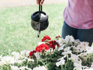 garden activities and jobs for kids - watering. www.inspirethemom.com