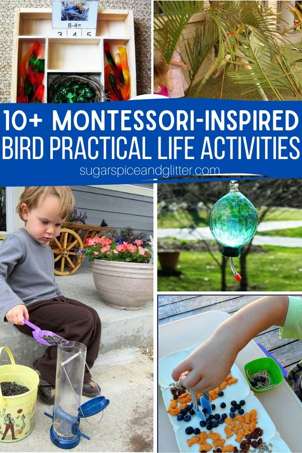 Over 50 Creative Montessori-inspired Activities for a Preschool Bird Unit Study - or just find fun bird activities for your bird loving child. Math, practical life, arts and crafts, and more.
