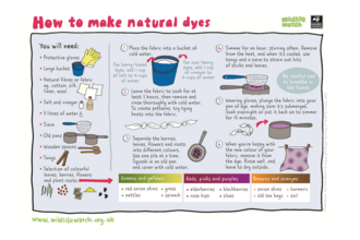Natural dyes