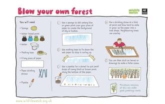 Blow forest
