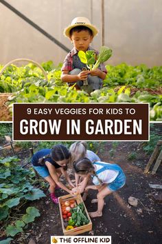 This may contain: kids picking vegetables in the garden with text overlay that reads, 9 easy veggies for kids to grow in garden