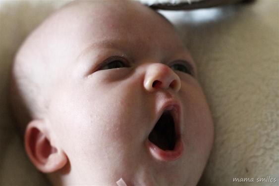 Those weeks with a newborn are exhausting, but they fly by! Check out these tips on how to make the most of newborn parenting.