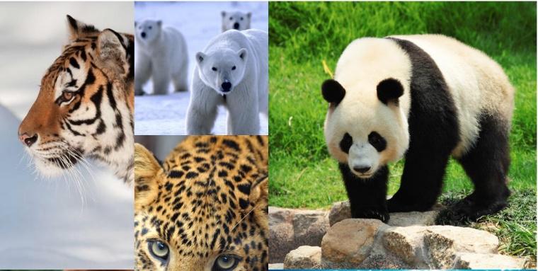 natural history resources