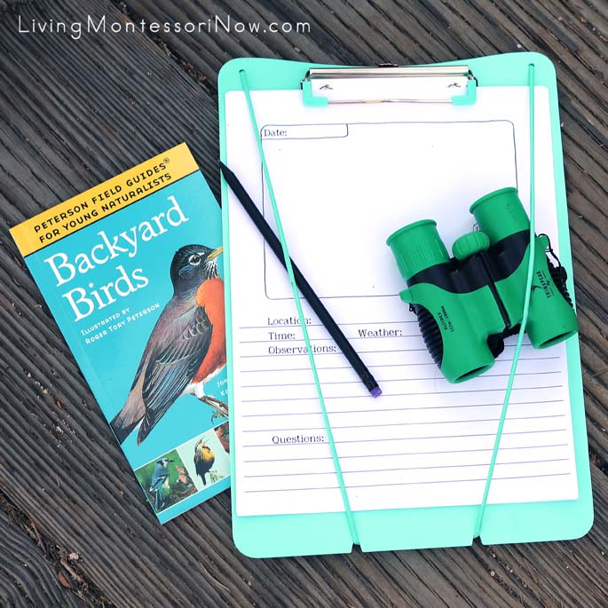 Birdwatching Materials - Backyard Birds Book, Nature Journaling Pages, Pencil, Binoculars, and Clipboard