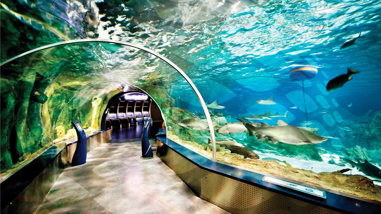Aquarium.JPG