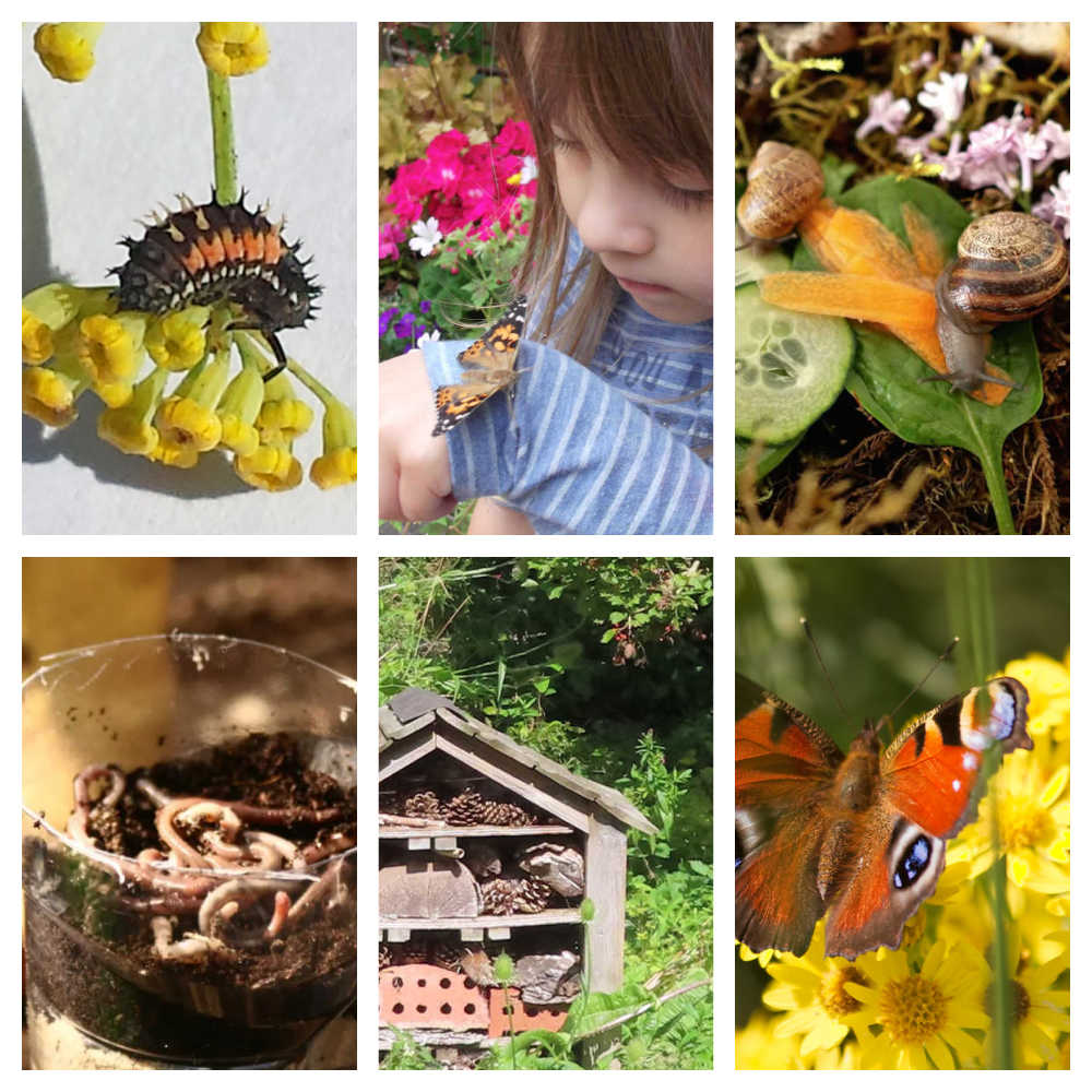 Fun Outdoor Activities For Kids Exploring Backyard Bugs