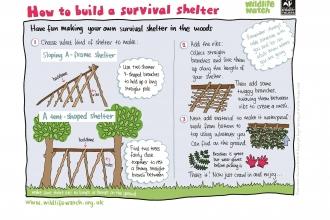 Survival shelter