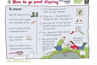 Pond dipping