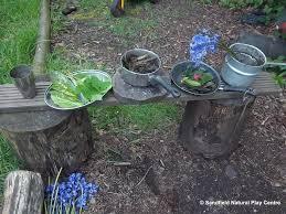 A group of plants in pots
Description automatically generated with low confidence