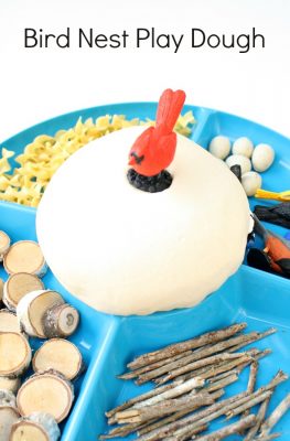 Bird Nest Play Dough Invitation