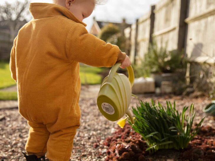 kid garden
