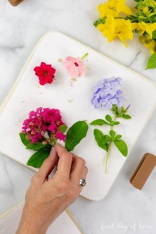 Preparing flowers in a microwave flower press