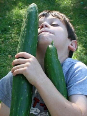 Growing veg with kids is great fun and a wonderful way to learn hands on about plant science and seeds #kidsgardening #vegetables #gardeningwithkids #plantscience #seeds #fertilisation