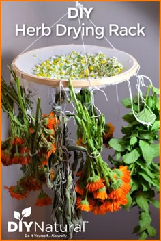 This may contain: herbs drying rack with text overlay that reads diy herb drying rack