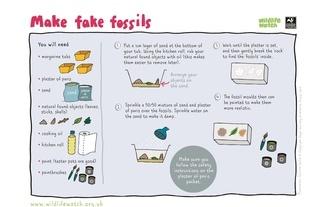 Fake fossils