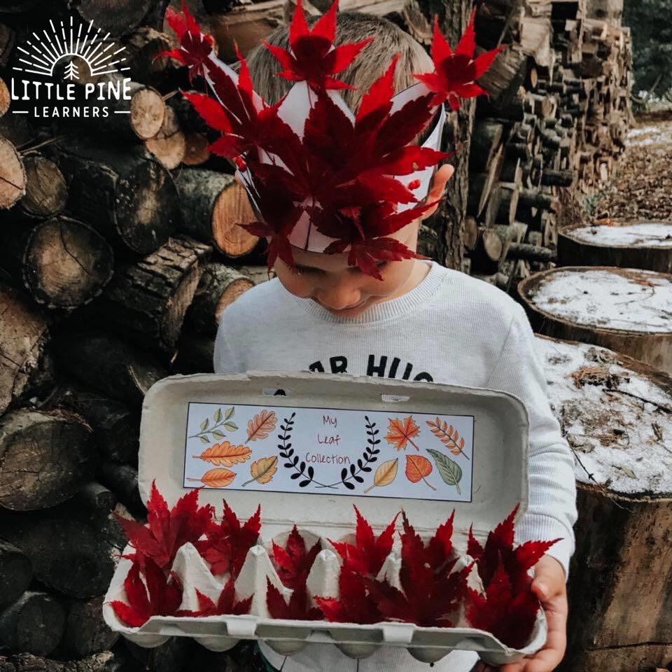 Nature printables for easy nature crafts!