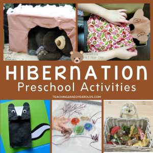 25 of the Best Preschool Hibernation Activities