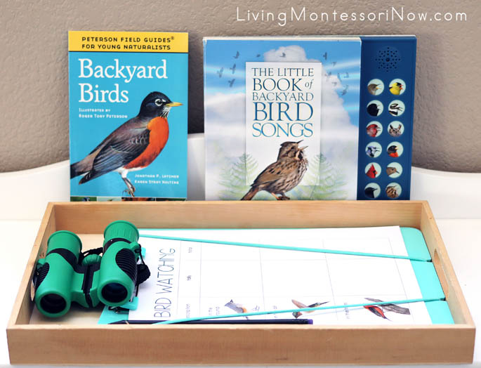 Backyard Bird Books and Birdwatching Tray