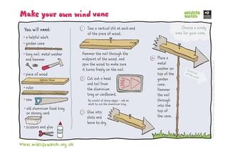 Wind vane