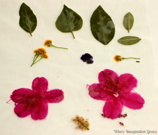 Spring Crafts for Kids: DIY Laminated Nature Suncatchers