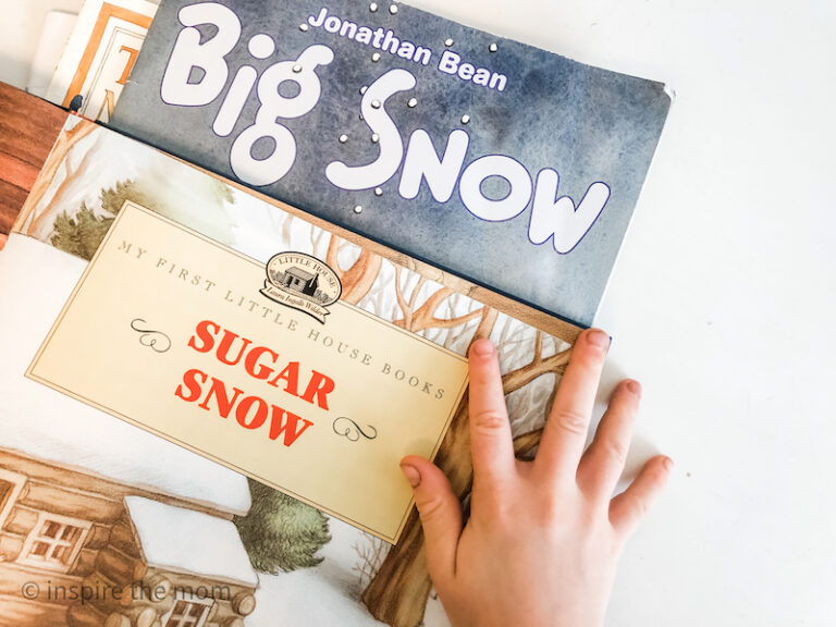 Picture Books about Snow